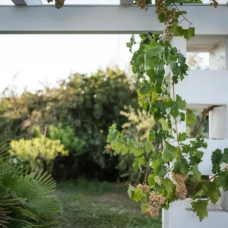 Prestigiosa Con Piscina Condominiale